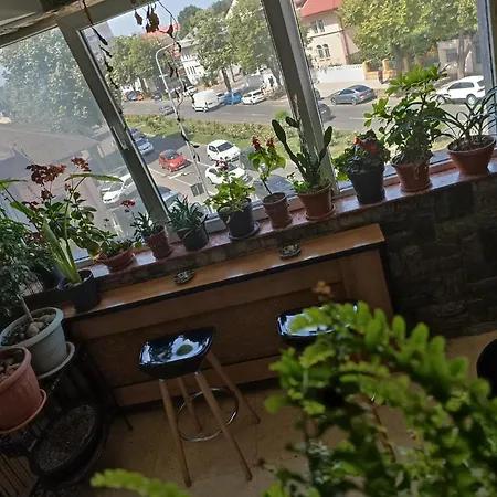 Apartment Central Residence - Studio & 3Br Apartment Near Beach